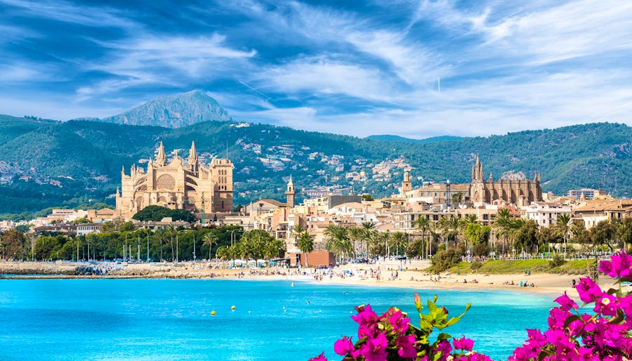 Palma de Mallorca mit der Kathedrale La Seu – © ©Balate Dorin - stock.adobe.com