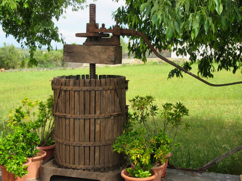 Weingut Taujana auf Mallorca - Weinpresse - ©Eberhardt TRAVEL - Francisco Javier Burgos Gutierrez