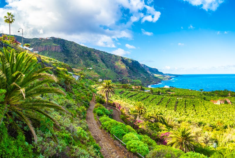 Naturschutzgebiet Rambla de Castro auf Teneriffa - ©©Balate Dorin - stock.adobe.com