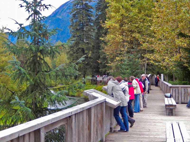 Bärenbeobachtung in Alaska - ©Eberhardt TRAVEL - Manuela Kreuz