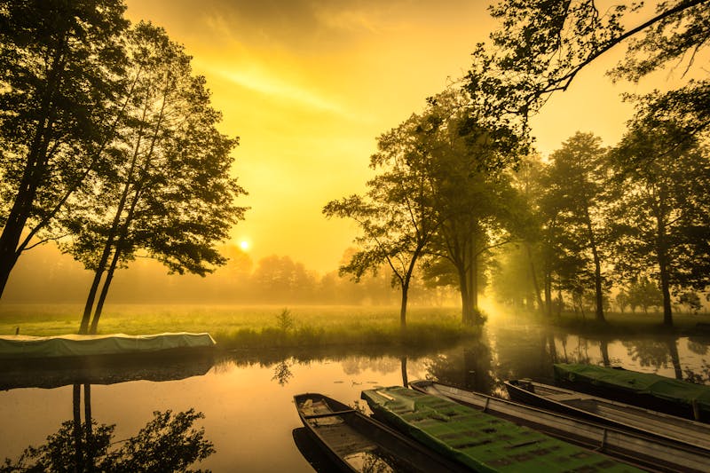 Morgenstimmung im Spreewald - ©©Alois - stock.adobe.com