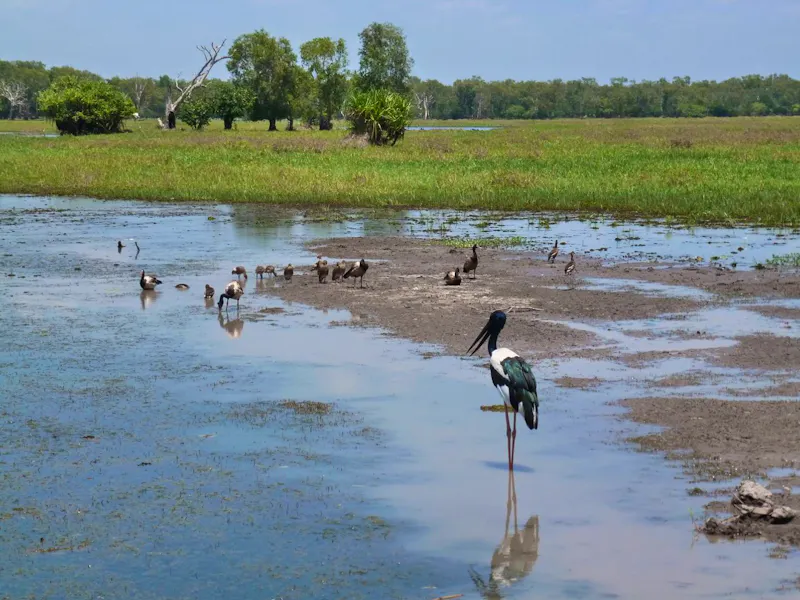 Kakadu Nationalpark  - &copy;Mandy Lehmann