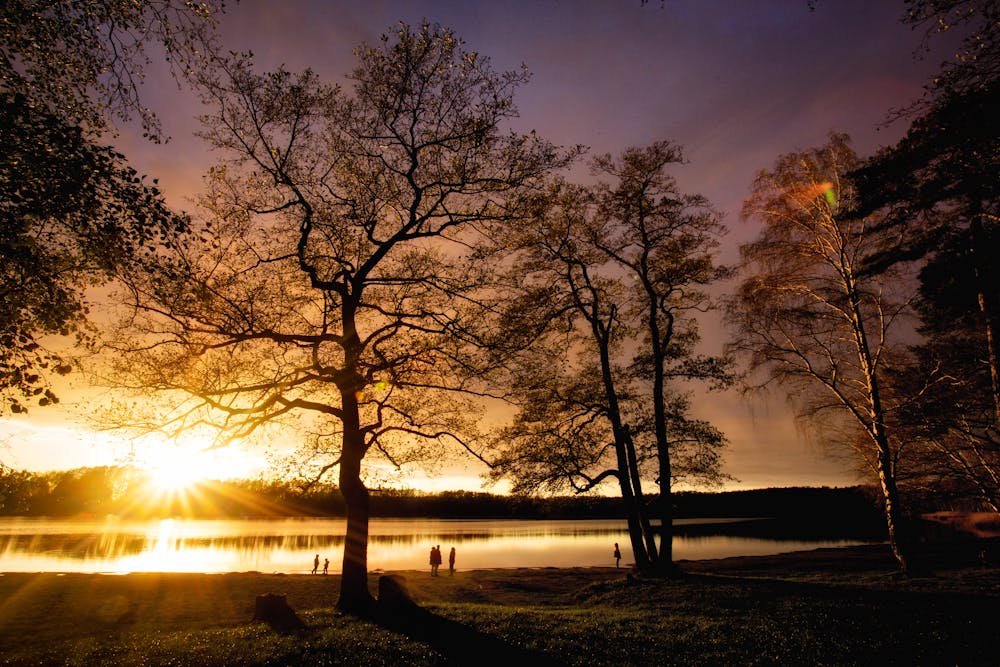 Sonnenuntergang im Naturpark Barnim &ndash; &copy; ©Tom - stock.adobe.com