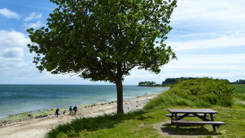 IFA Fehmarn – ©IFA Fehmarn