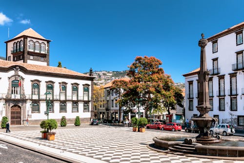 Rathausplatz von Funchal auf Madeira &ndash; &copy; Dieter Meyer - Adobe Stock