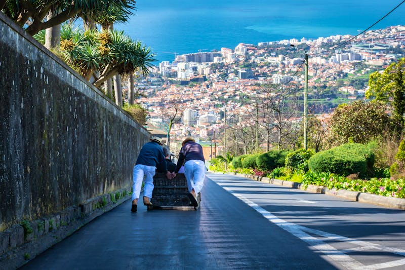 Korbschlitten-Fahrt von Monte nach Funchal - ©Boss Photographic - Adobe Stock