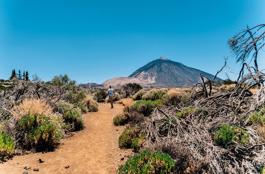Wanderung am Vulkan Chinyero auf Teneriffa – © Till Junker -  Adobe Stock