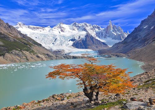 Laguna Torre im Nationalpark Los Glaciares &ndash; &copy; ©serjiob74 - stock.adobe.com