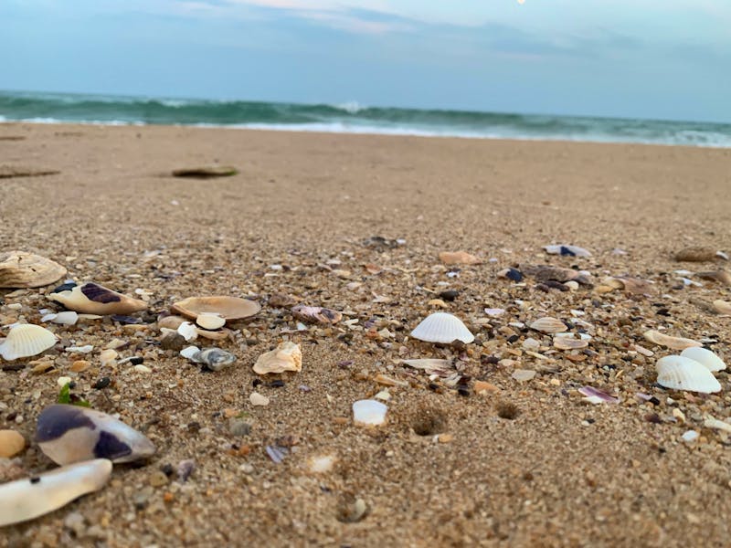 Goldstrand - ©Madlena Voigt