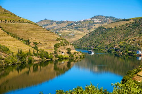 Kreuzfahrtschiff auf dem Douro bei Regua &ndash; &copy; Luis Costa - Adobe Stock
