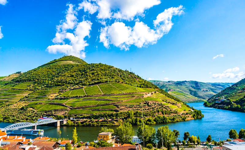Weinberge im Douro-Tal bei Pinhao  - ©©streetflash - stock.adobe.com