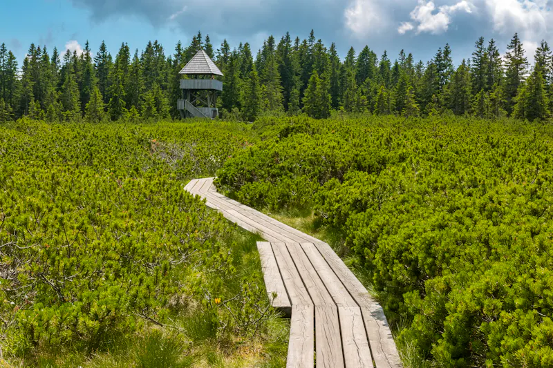 Wanderung an den Lovrencer Seen in Slowenien - &copy;Erik Zunec - Adobe Stock