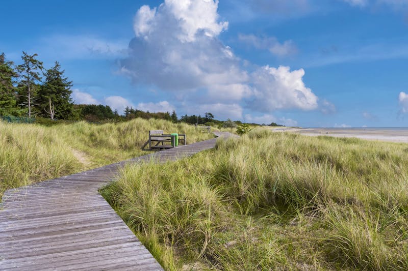 Bohlen-Wanderweg bei Nieblum auf der Nordseeinsel Föhr - ©AnnaReinert - stock.adobe.com