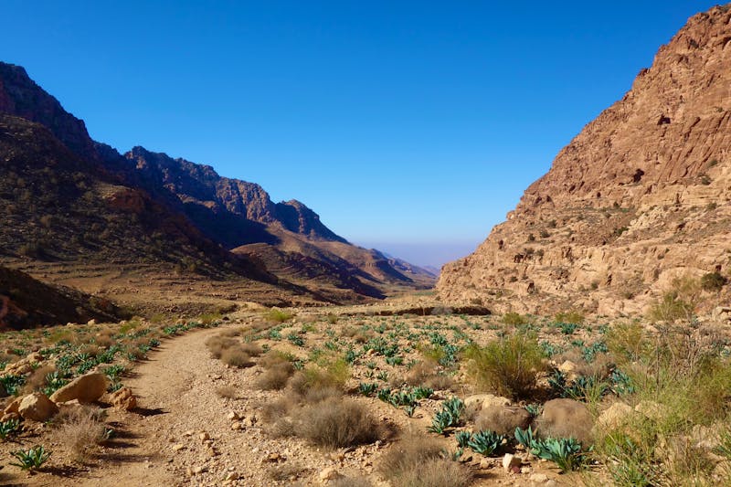 Wanderweg im Biosphärenreservat Dana in Jordanien - ©Tomás Ptak (www.studentskevychytavky.cz) - Adobe Stock