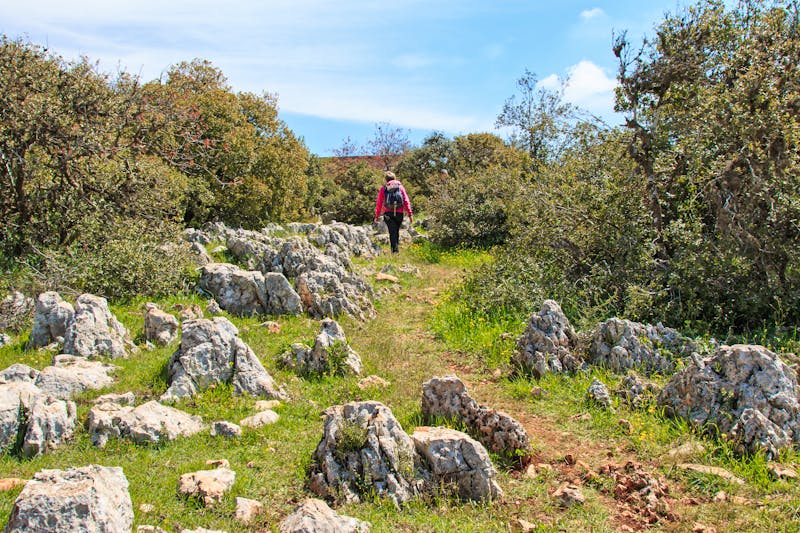 Wanderung im Naturreservat Ajloun - ©www.fabionodariphoto.com - Adpbe Stock