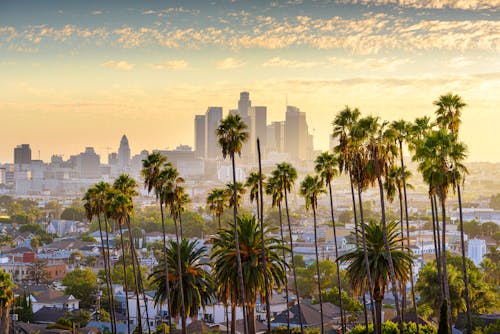 Downtown Los Angeles  &ndash; &copy; ©chones - stock.adobe.com