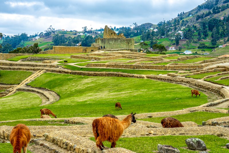 Ingapirca Inka-Ruine in Ecuador - ©©Angela Meier - stock.adobe.com