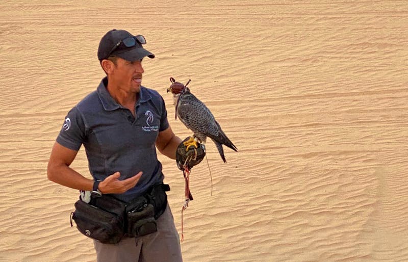 Falkner in der Wüste von Dubai - ©Eberhardt TRAVEL - Marianne Förster
