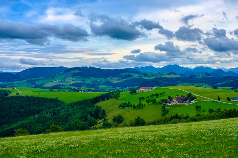 Im Mostviertel bei Seitenstetten - ©Wolfgang - stock.adobe.com