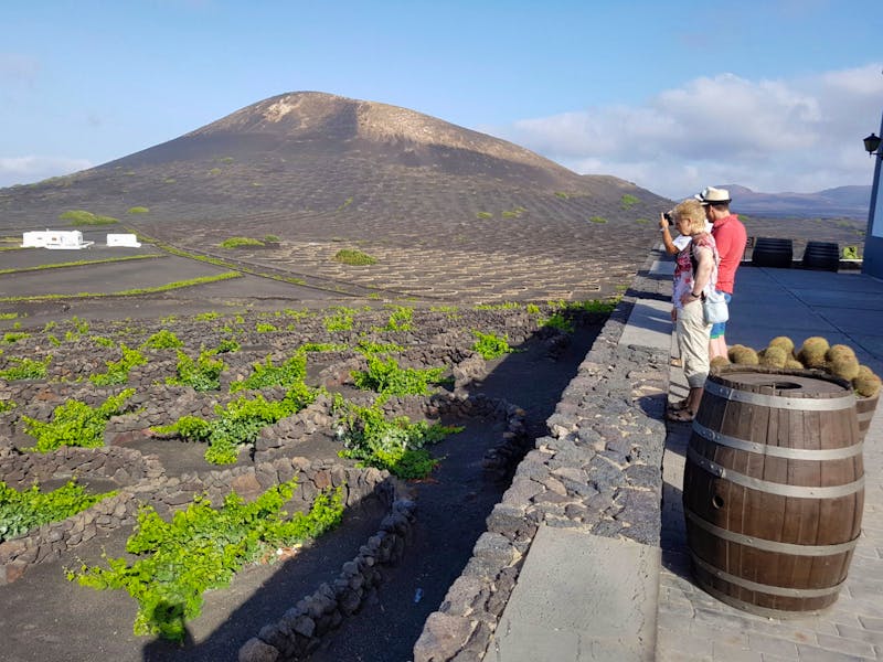 Lanzarote Wein - ©Benjamin Rodriguez Manzanares