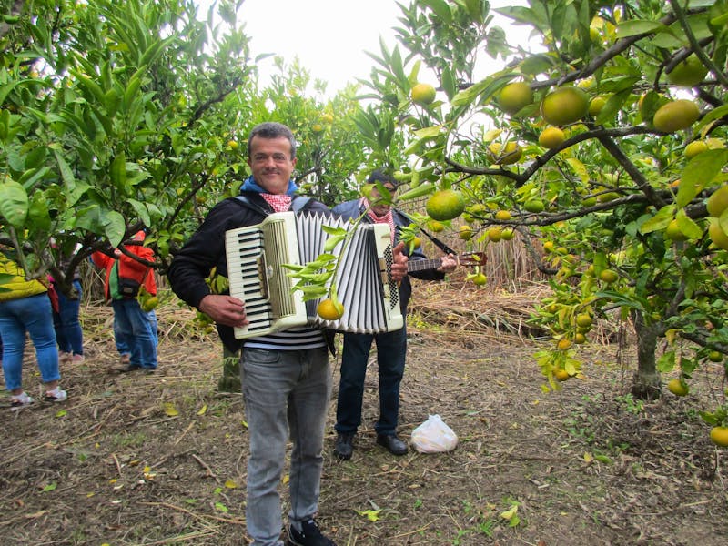 Mandarinenernte im Neretva-Delta - &copy;Eberhardt TRAVEL - Sylvia Sann