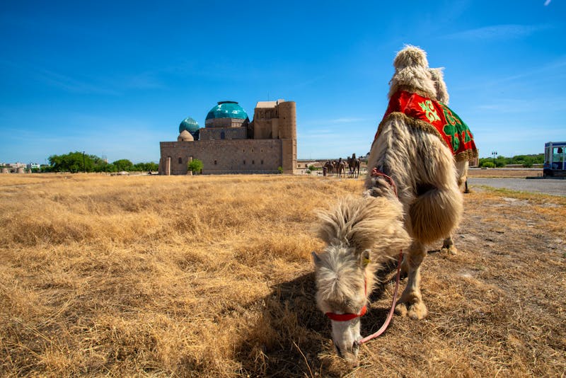 Alte Karawanenstadt Turkestan in Kasachstan - ©©Sutipond Stock - stock.adobe.com