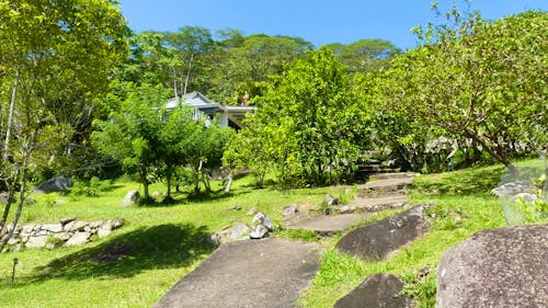 Jardin du Roi &ndash; &copy; Frank Nimschowski