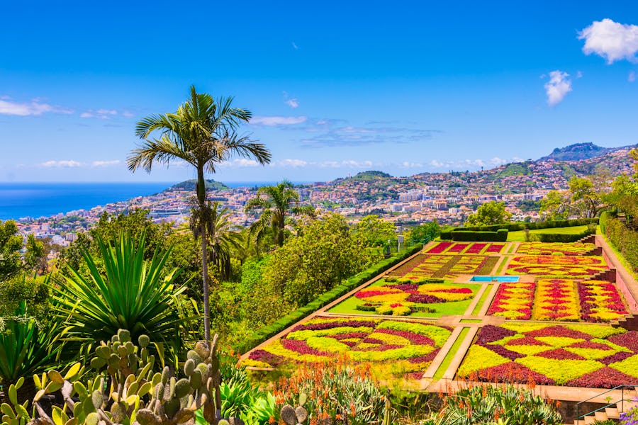 Botanischer Garten in Funchal - Madeira – © ©boivinnicolas - stock.adobe.com