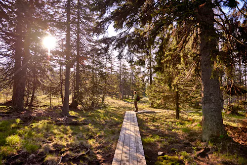 Wanderung auf der Rogla Hochebene in Slowenien &ndash; &copy; Unitur Hotels & Resorts