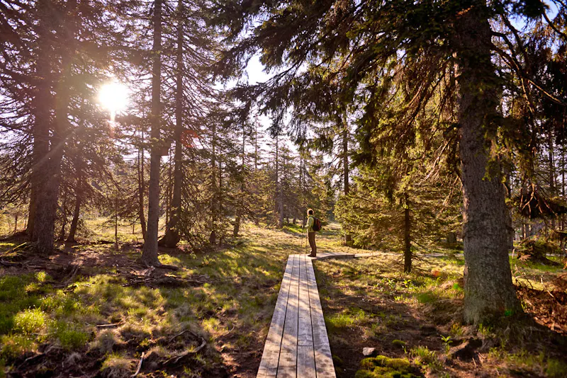 Wanderung auf der Rogla Hochebene in Slowenien - &copy;Unitur Hotels & Resorts