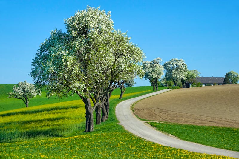 Mostviertel - Frühling - ©Ecker Martin - Adobe Stockphoto