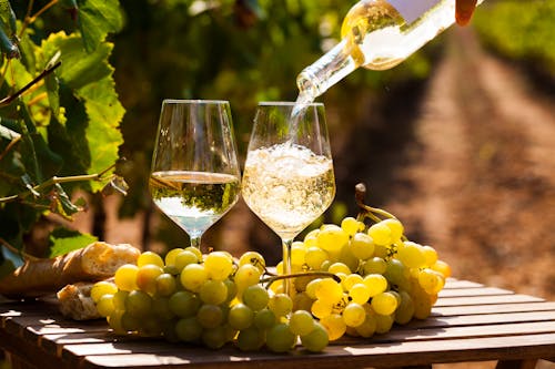 Weinverkostung &ndash; &copy; Tatsiana Yatsevich - Adobe Stock