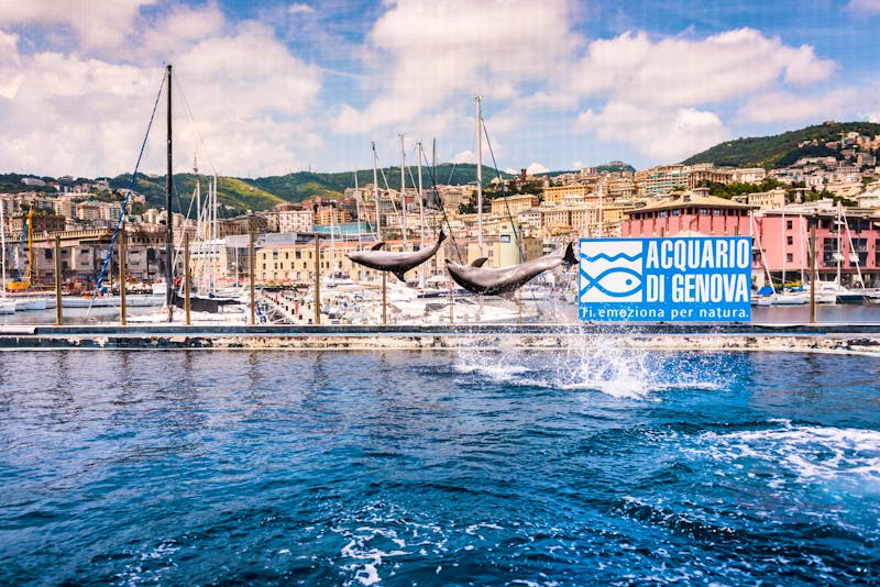 Genua - Aquarium - &copy;TOMASZ KORYL - Adobe Stockphoto