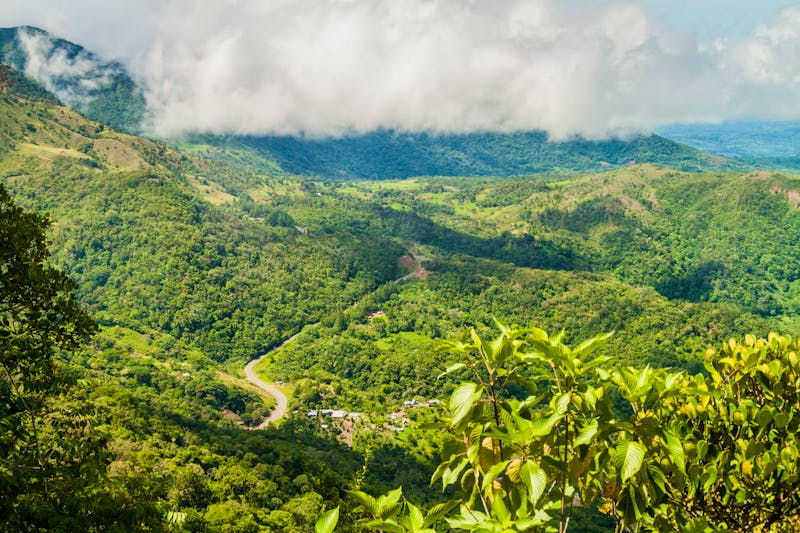 Waldschutzreservat Fortuna in Panama - ©Matyas Rehak - stock.adobe.com