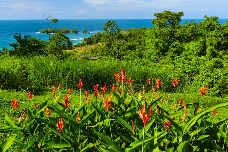 Bastimentos Island - Marine Nationalpark - ©JUAN CARLOS MUÑOZ ROBREDO - Adobe Stock