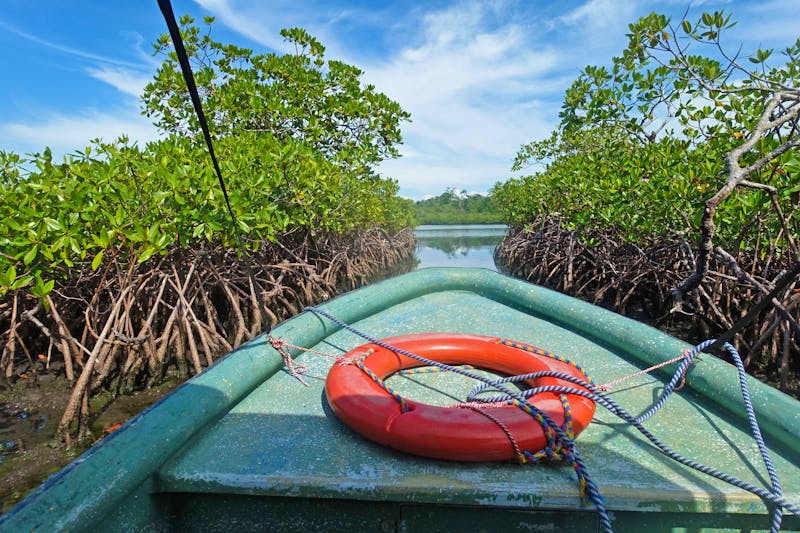Bootstour durch die Mangroven von Bastimentos Island - ©Marko Reimann - Adobe Stock
