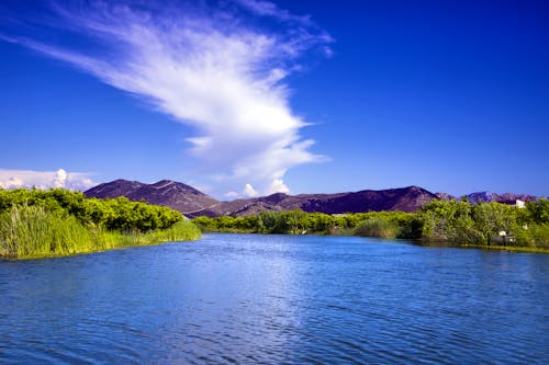Neretva-Delta  &ndash; &copy; ©Tanya Keisha - stock.adobe.com