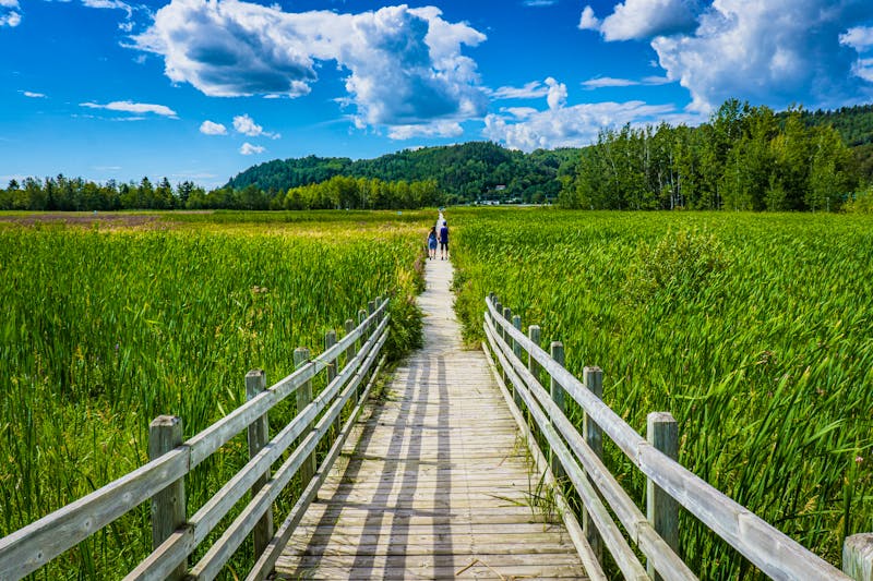 Wanderweg am Saguenay Fjord - &copy;©Pernelle Voyage - stock.adobe.com