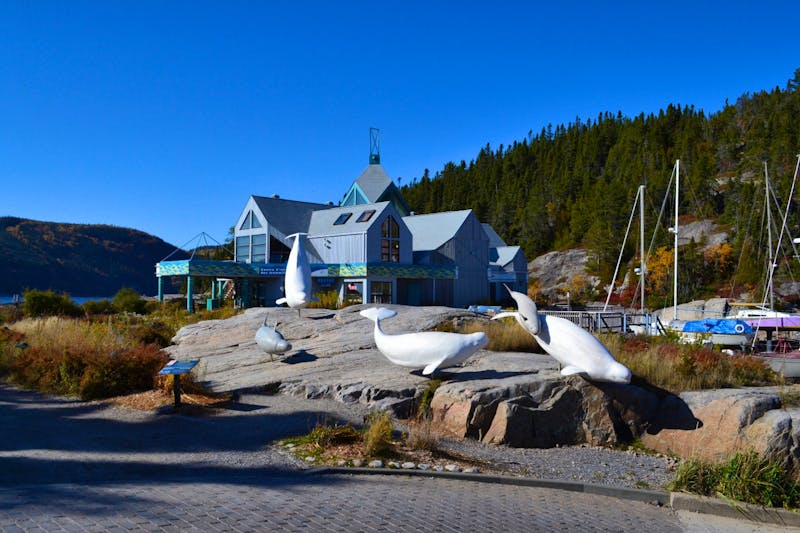 Aufenthalt in Tadoussac - Meereskundemuseum - ©Eberhardt TRAVEL - Andreas Wolfsteller