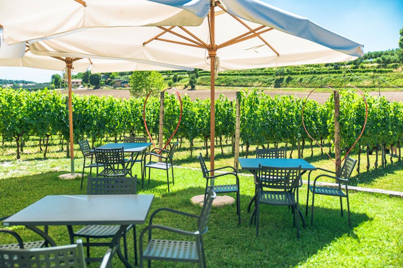 Weingut Le Ginestre Lazise - ©© Le Ginestre