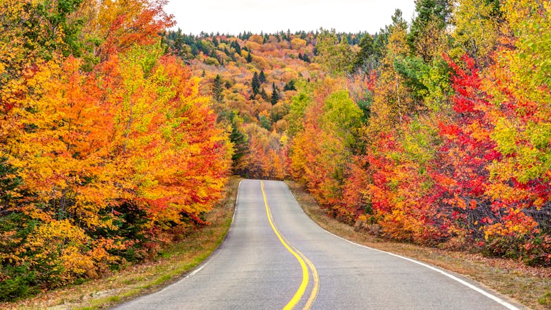 Fahrt durch die Laurentianischen Wälder im Indian Summer - ©©peteleclerc - stock.adobe.com
