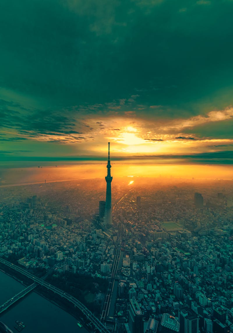 Tokio - Skyline mit dem Skytree Tower am Abend - ©fenlio - stock.adobe.com