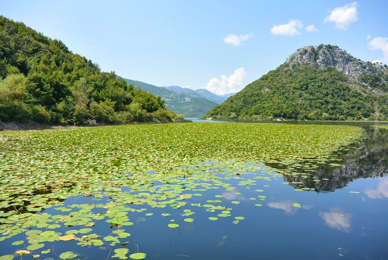 Skutarisee - ©pixabay