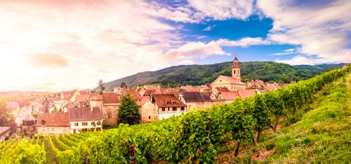 Weinort Riquewihr im Elsass &ndash; &copy; ©Sina Ettmer - stock.adobe.com