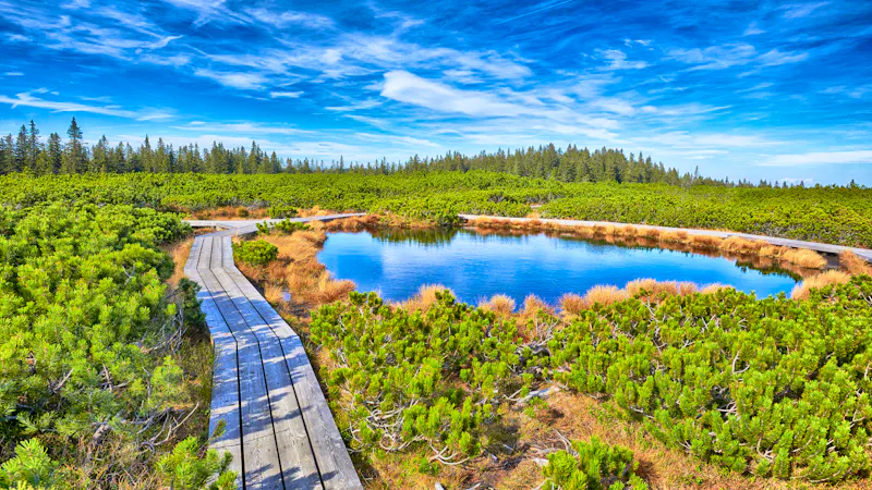 Pohorje-Gebirge - Wanderweg an den Lorenzer Seen - &copy;dejangasparin - AdobeStock.com