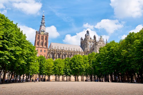 Den Bosch ('s-Hertogenbosch) - St.-Johannis-Kathedrale &ndash; &copy; ©Donatas Dabravolskas - stock.adobe.com