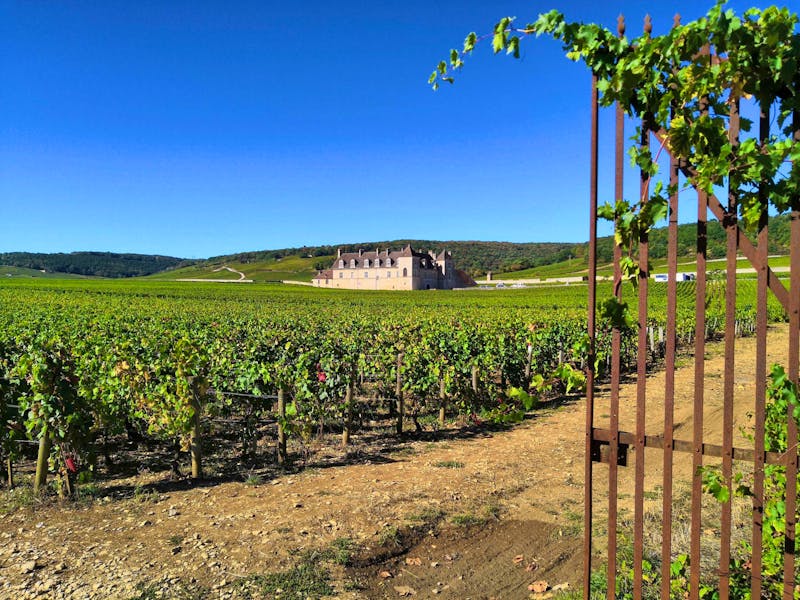 Das Weingut  Chateau Clos de Vougeot - ©Ferdinand Tieze - Eberhardt TRAVEL
