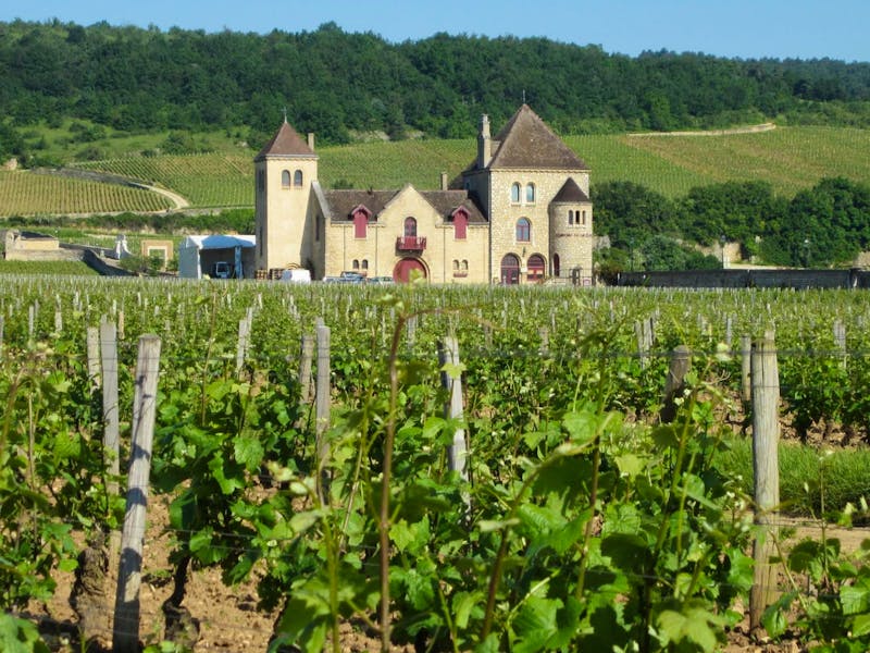 Weingut Clos de Vougeot im Burgund - ©Barbara Mihut - Eberhardt TRAVEL