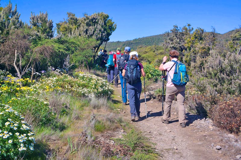 Wanderung zum Garajonay auf La Gomera - ©Detlef May - Eberhardt TRAVEL
