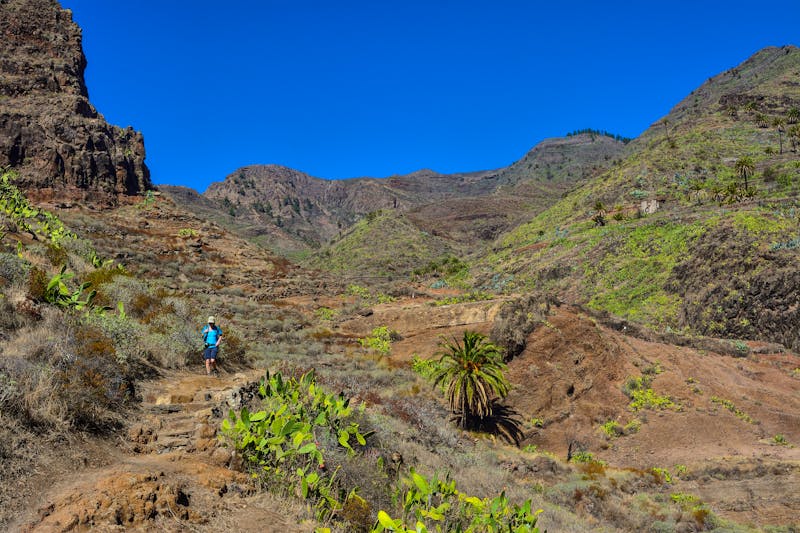 Wanderung in der Felsenschlucht Barranco de Guarimiar - ©Luc Kohnen - Adobe Stock